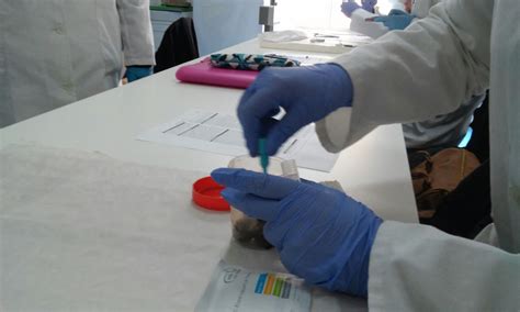 Prácticas Bioquímica Sangre Oculta En Heces Nadal Fob Test