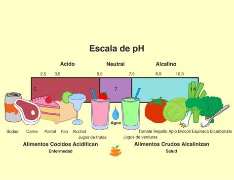 Alimentos Acidos Y Alcalinos Que Es La Salud