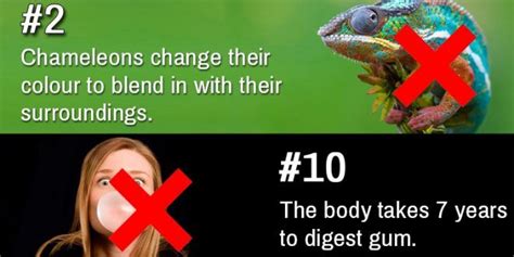 20 Popular Myths Debunked Facts Youve Always Believed That Simply