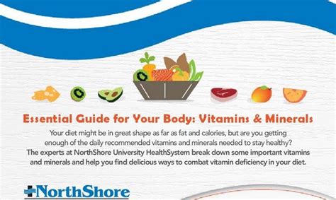 Essential Guide For Your Body Vitamins And Minerals Infographic