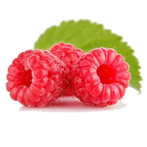 Raspberry Png Image Png Mart