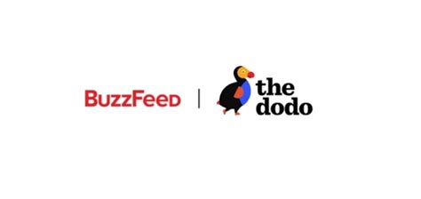 buzzfeed y the dodo ayudan a hacer que todos los días sean inolvidables con la súper cámara