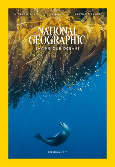 Understanding The Target Audience Of National Geographic Openr
