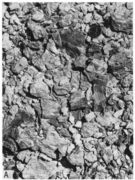 Kgs Bulletin 209 Greenhorn Limestone Of Kansas Stratigraphy 2