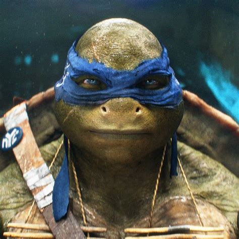 For A Movie About Talking Reptiles Teenage Mutant Ninja Turtles Takes Itself Way Too Seriously