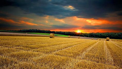 Hd Wallpaper Field Nature Land Wheat Landscape Agriculture Rural