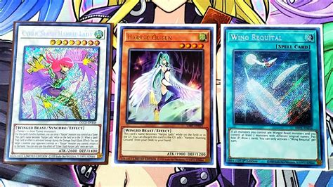 Harpie Deck Profile Yugioh 2021 New Support Post Brothers Of Legend Youtube