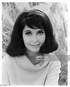 Anjanette Comer, circa 1966. News Photo - Getty Images