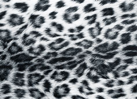 Black Leopard Background ·① Wallpapertag