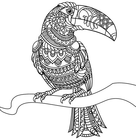 Toucans are such interesting birds and super interesting to color. Toucan Coloring Page at GetColorings.com | Free printable ...