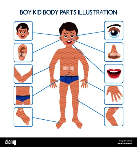 Boy Kid Body Parts Stock Vector Image And Art Alamy