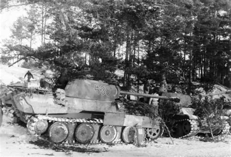 Panther Tank Number 438 East Front World War Photos