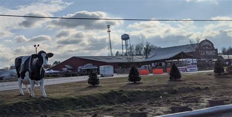 Giant Flea Market Cow Driving Down Main Street