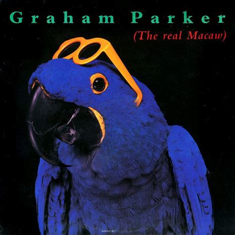 Graham Parker The Real Macaw Vinyl Lp Album At Discogs Art Album