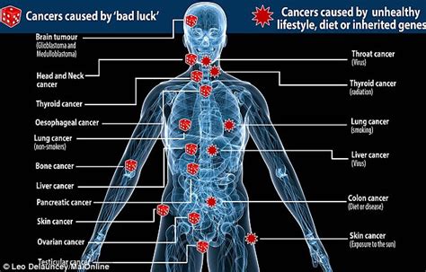 Scientists Claim 65 Of Cancer Cases Are Down To Random Mistakes In Genes Daily Mail Online
