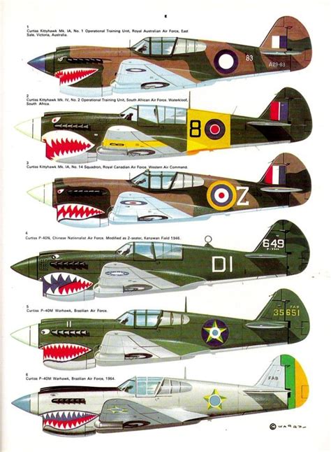 P 40 Ww2 Different Air Forces Wwii Airplane Wwii Fighter Planes