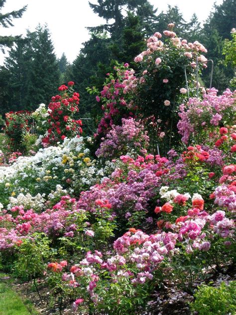 We did not find results for: Flower garden, Amazing gardens, Beautiful gardens