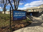 Time for an upgrade: Salmon River fish hatchery slated for $5.2 million ...