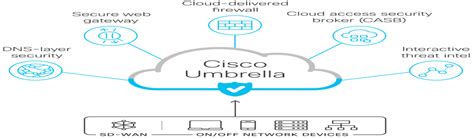 Bt Eğitim Blog Cisco Umbrella