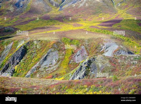 Arctic Colors In The Yukon Tundra Stock Photo Alamy