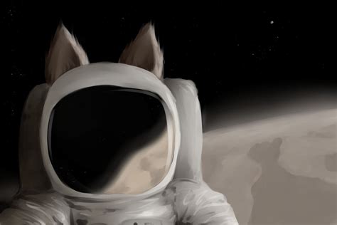 Fox Eared Astronaut By Marsminer On Deviantart