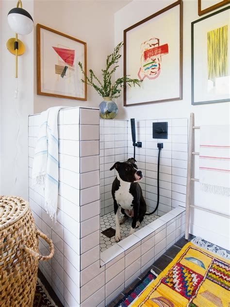 Pin By Dog Grooming Salon Ideas On Dog Wash Dog Washing Station Dog