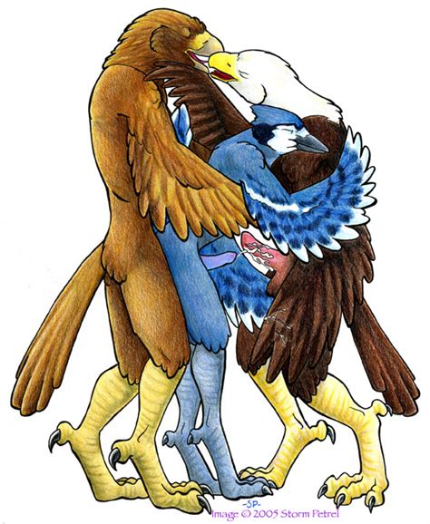 Rule 34 Avian Bird Blue Jay Eagle Furry Furry Only Gay