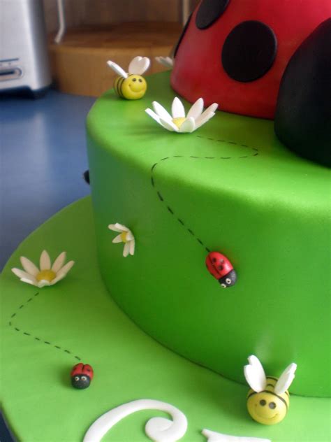 Sugar Siren Cakes Mackay Ladybug Birthday Cake