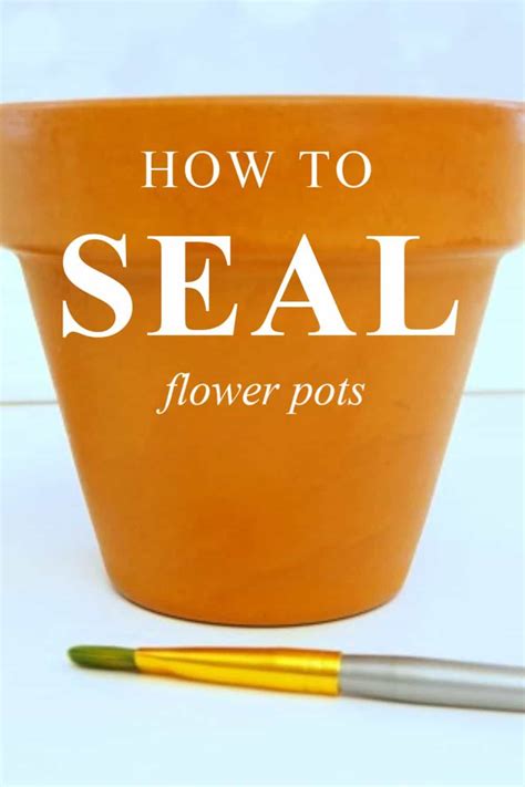 Learn How To Seal A Flower Pot And Why It Is So Important To Seal