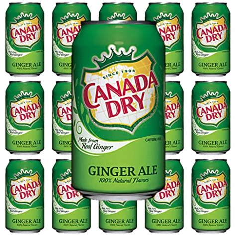 Top 10 Best Ginger Ale Review And Buying Guide In 2023