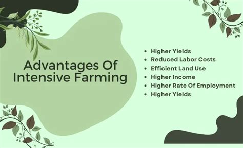 Advantages And Disadvantages Of Intensive Farming August 2023