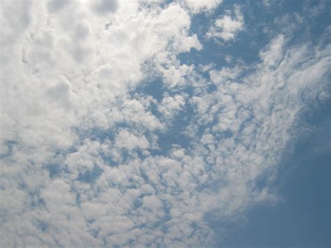 Altocumulus Clouds