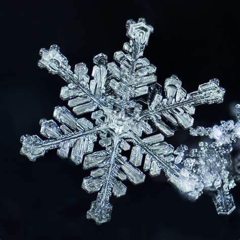 How To Photograph Snowflakes And Blow Your Mind — Craig Goodwin