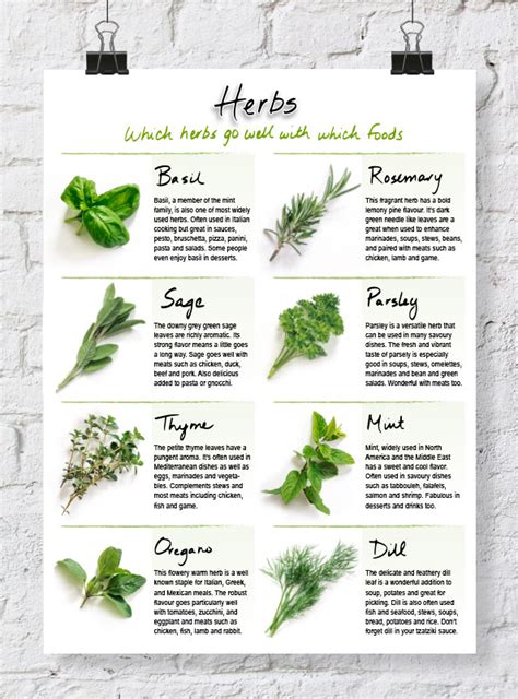 Quick Reference Herb Chart Dabbles And Babbles