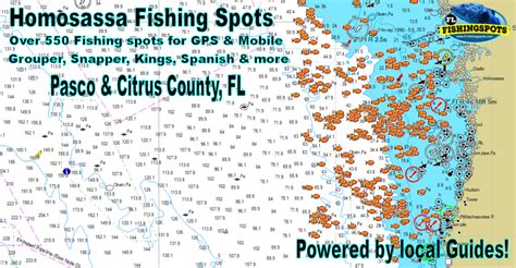 Homosassa Fishing Spots Pasco County Fishing And Gps Coordinates