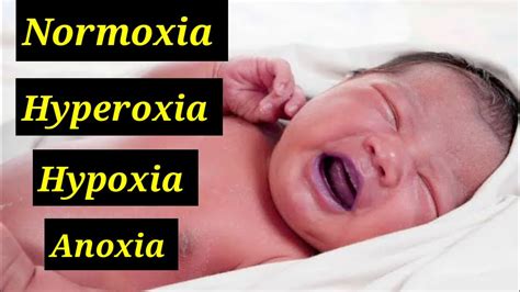 What Are Normoxia Hyperoxia Hypoxia And Anoxia In Hindiurdu Youtube