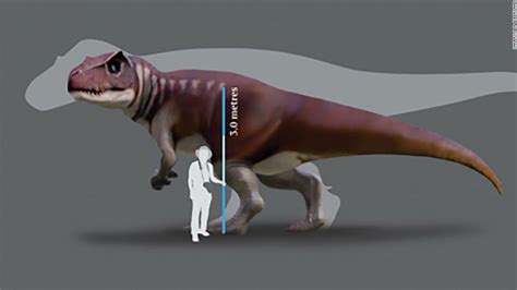 Descubren Evidencia De Dinosaurios Carnívoros Enormes Que Vivieron En