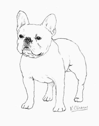 You can print or color them online at 716x755 french bulldog puppy coloring page for kids animal coloring. Bulldog Drawing Images at GetDrawings | Free download