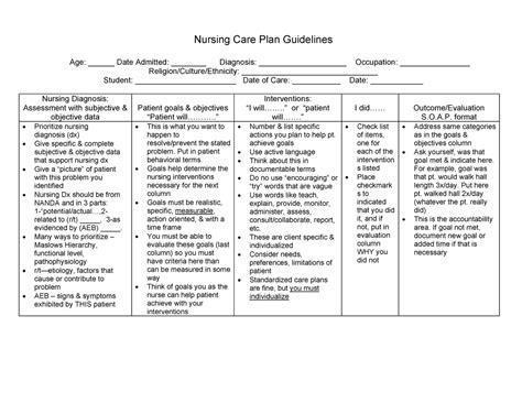 Nanda Nursing 17 Standardized Nursing Care Plan