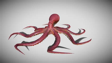 pacific octopus animated 3d model by rohr3dsolutions [855112d] sketchfab