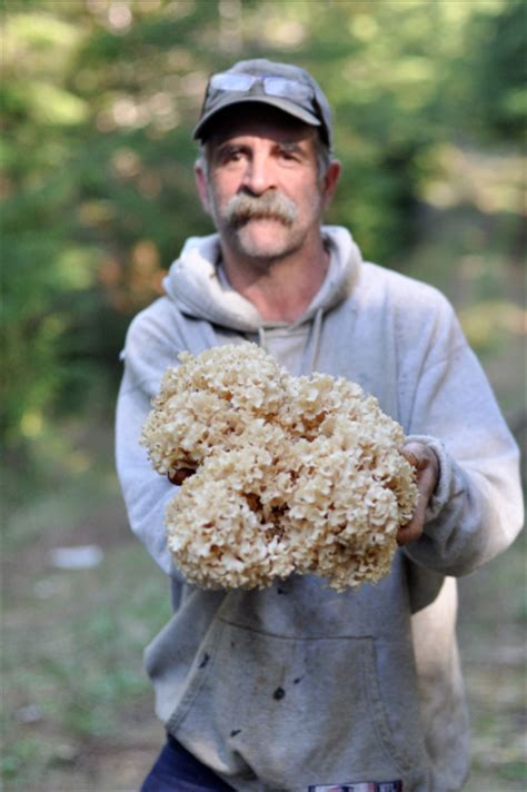 The Mushroom Hunters Langdon Cook