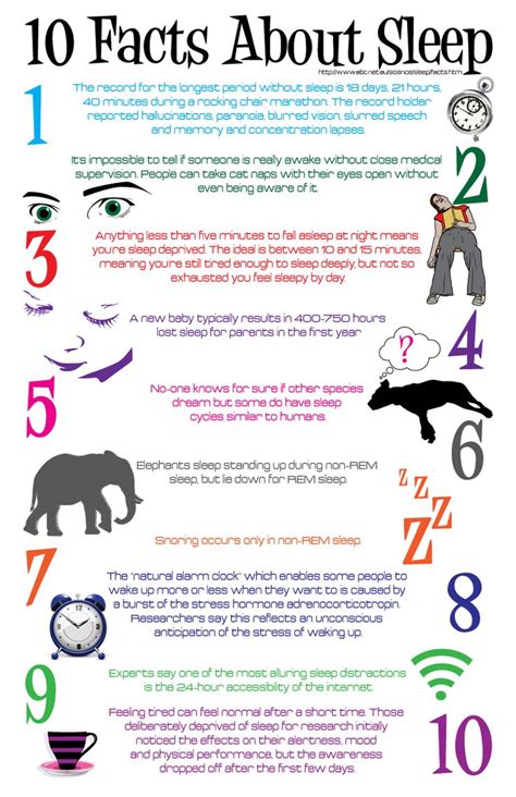 10 Facts About Sleep Infographic Facts