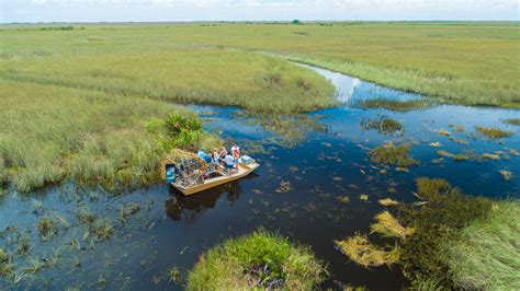 Things To Do In Everglades National Park Biking Snorkeling And More