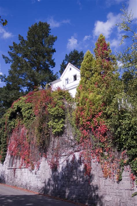 Das hotel magnetberg hat tradition und ist ebenfalls für schwarzwald touren sehr beliebt. Brahms-Haus (Baden-Baden) - Wikipedia