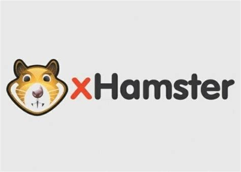 xhamster 16 fascinating facts about the popular porn site