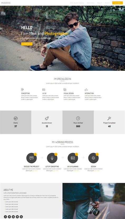 30 Top Fantastic Sample Website Templates Collection