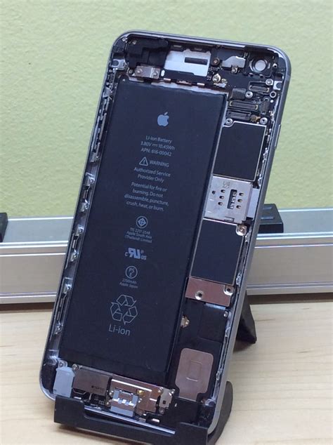 The insides of an iPhone 6. Ready for a screen replacement - Maple Grove