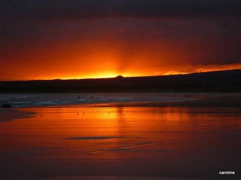 Sunset In Galapagos Isabela Island By Caroline Marmion Galapagos