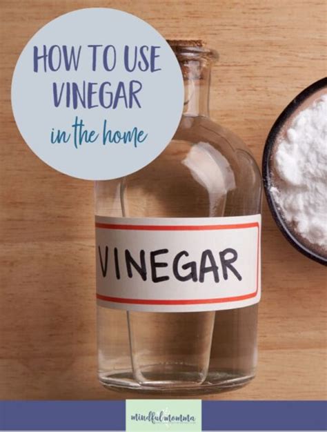Top 15 Ways To Use Vinegar In The Home