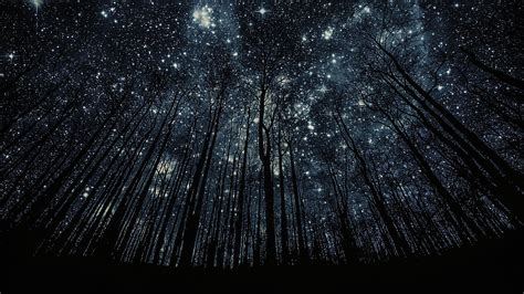 Night Sky With Stars Wallpaper